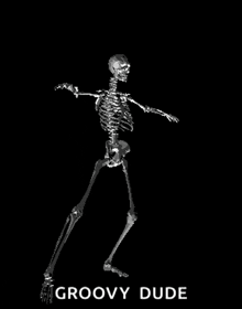 Skeleton Dance GIF - Skeleton Dance Groove GIFs