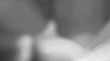 a black and white photo of a person 's hand holding a bottle .