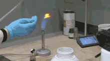 Calcium Chloride In Bunsen Flame GIF