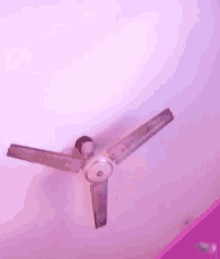 love fan ceiling fan pink fan