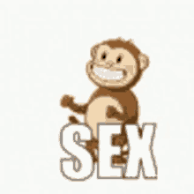 Sex Monkey GIF - Sex Monkey Excited GIFs