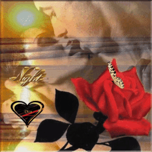 a butterfly is sitting on a red rose next to a heart with the word night on it
