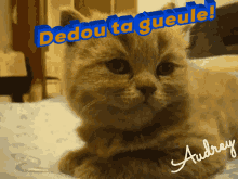 Dedou Misssarde GIF - Dedou Misssarde GIFs
