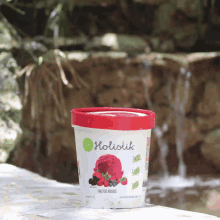 Holistik Ice Cream GIF - Holistik Ice Cream Vegan GIFs