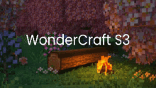 Wonder Craft GIF - Wonder Craft GIFs
