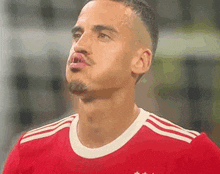 Benfica Champions GIF - Benfica Champions Chiquinho GIFs