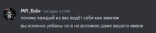 a screenshot of a message from mr_bobr at 21:49