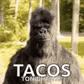 Yoquiero Tacos GIF - Yoquiero Tacos Thumbsup GIFs