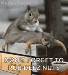 Deez Nuts GIF - Deez Nuts Gif GIFs