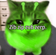 a green cat with the words " zib zip zub zerp " written on it