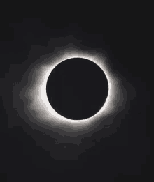 Black White Circle GIF - Black White Circle Waves GIFs