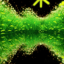 Grass Water GIF - Grass Water Reflection GIFs