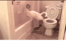 Pooping Funny GIF - Pooping Funny Hilarious GIFs