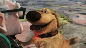 Up Movie Dog GIF - Up Movie Dog Cute - Discover & Share GIFs