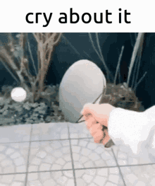 Cry About It Ping Pong GIF - Cry About It Ping Pong GIFs