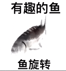a black and white photo of a fish with chinese writing below it