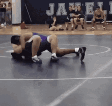 Wtf Is Going On Here Wrestling GIF - Wtf Is Going On Here Wrestling Martial Arts GIFs
