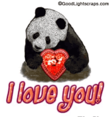 I Love You Panda GIF - I Love You Panda GIFs