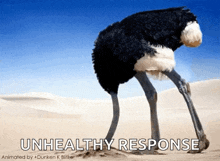 an ostrich is standing in the sand with the words unhealthy response behind it