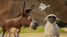 The Star Sheep GIF - The Star Sheep Donkey GIFs