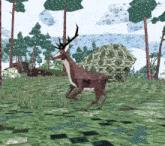 Deer Goat GIF - Deer Goat Meadow GIFs