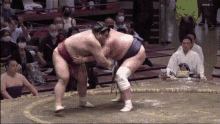 Takayasu Sumo GIF - Takayasu Sumo Sumo Wrestler GIFs