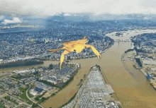 Crab Vancouver GIF - Crab Vancouver New Westminster GIFs