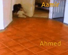 Aamir Ahmed GIF - Aamir Ahmed GIFs
