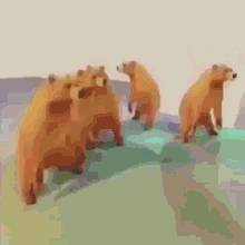 Bear Dance GIF - Bear Dance GIFs