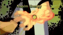 napim energy
