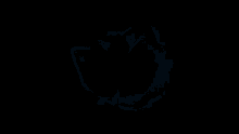 a bliss logo is surrounded by lightning