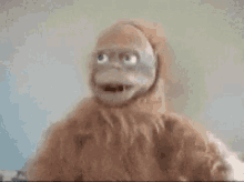 Confused Disappointed GIF - Confused Disappointed Monkey GIFs