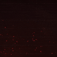 the word thunder is on a black background