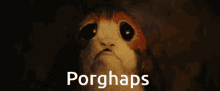 Porg Star Wars GIF - Porg Star Wars Porghaps GIFs