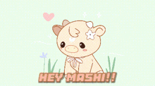 Mashi Mashi Hey GIF