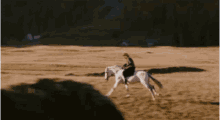 Cow Boy Horse Riding GIF - Cow Boy Horse Riding Horse Ride GIFs