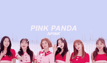 Naeun Chorong GIF - Naeun Chorong Pink Panda GIFs