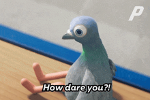 How Dare You Pigeons GIF