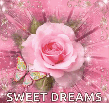 sweet dreams good night rose pink rose butterfly
