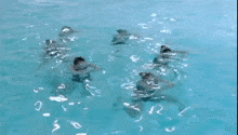 вода синхронное плавание GIF - вода синхронное плавание Water GIFs