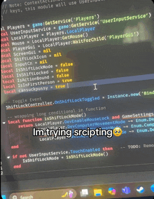 a screen shot of a program that says i 'm trying scripting on it