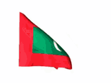Maldives Flag GIF - Maldives GIFs