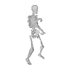 Skeleton Esqueleto Sticker - Skeleton Esqueleto Bones Stickers