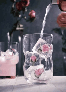 cherry blossom pour alcohol ice cubes yess