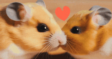 Hamsters Whispering GIF - Hamsters Whispering Love GIFs