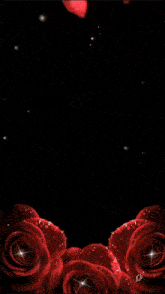 a girl is surrounded by red roses and petals on a black background