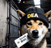 a dog wearing a dea hat and a tag that says " good boi "