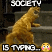 Society Society Is Typing GIF - Society Society Is Typing Typing GIFs