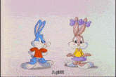 Tiny Toon Adventures Buster Bunny GIF