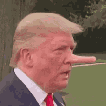 Donald Trump Pinocchio GIF - Donald Trump Pinocchio Dumbass GIFs